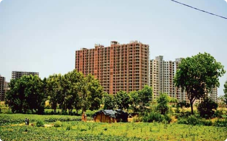 भूमि