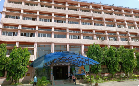 लोक